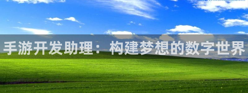 摩根娱乐首页：手游开发助理：构建梦想的数字世界
