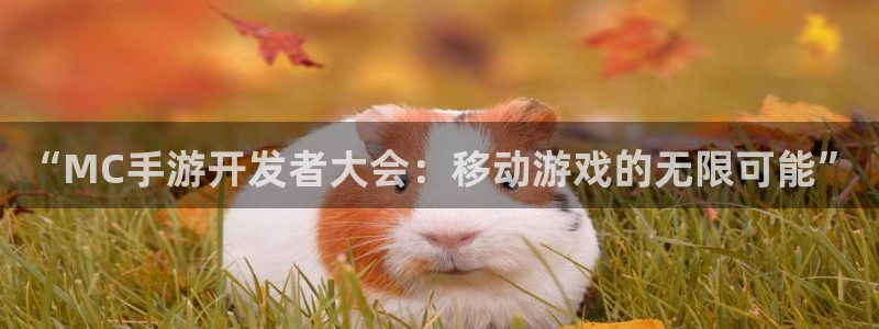 摩根娱乐app下载安装最新版：“MC手游开发者大会：移动游戏