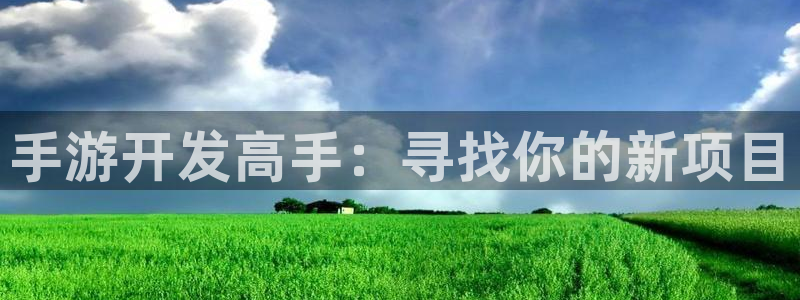 摩根娱乐挂机项目有哪些：手游开发高手：寻找你的新项目