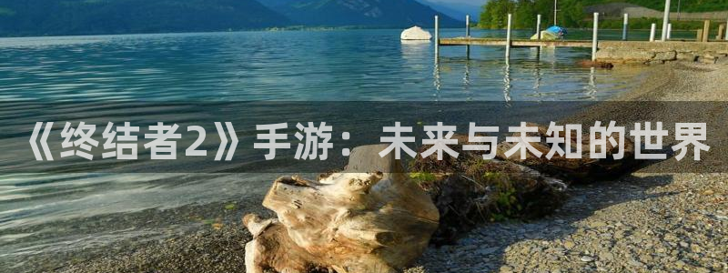 摩根娱乐是正规合法的吗：《终结者2》手游：未来与未知的世界