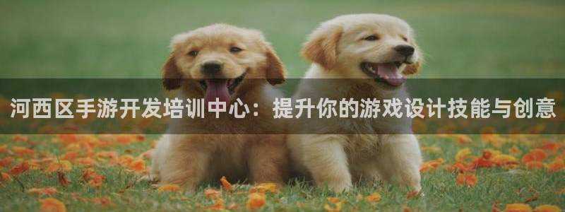 摩根娱乐网址大全：河西区手游开发培训中心：提升你的游戏设计技