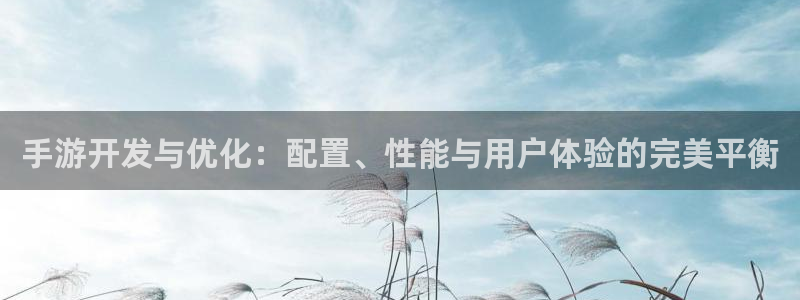 摩根娱乐官网入口网站下载：手游开发与优化：配置、性能与用户体