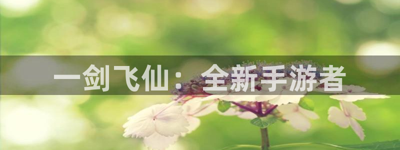 摩根娱乐app下载官网安装苹果：一剑飞仙：全新手游者