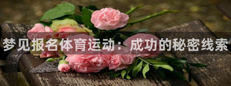 球速体育：梦见报名体育运动：成功的秘密线索