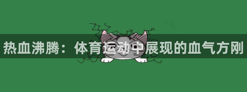 球速体育：热血沸腾：体育运动中展现的血气方刚