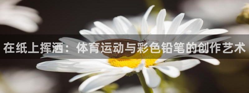 球速体育：在纸上挥洒：体育运动与彩色铅笔的创作艺术