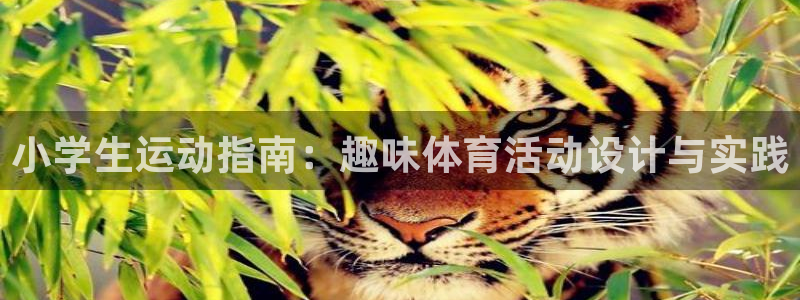 球速体育：小学生运动指南：趣味体育活动设计与实践