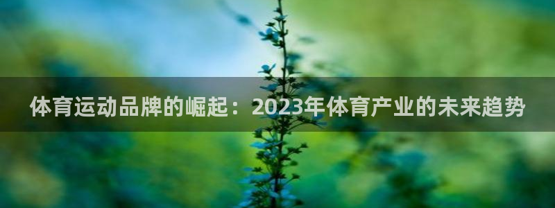 球速体育：体育运动品牌的崛起：2023年体育产业的未来趋势