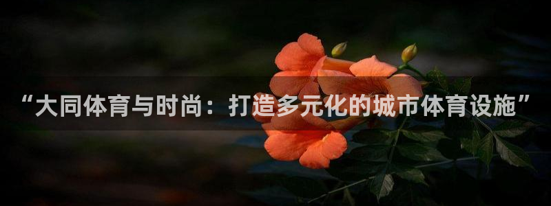 球速体育：“大同体育与时尚：打造多元化的城市体育设施”