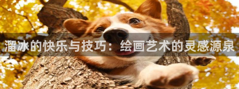 球速体育：溜冰的快乐与技巧：绘画艺术的灵感源泉