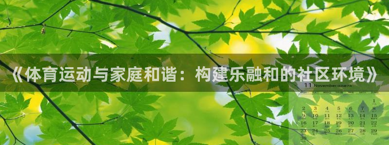 球速体育：《体育运动与家庭和谐：构建乐融和的社区环境》