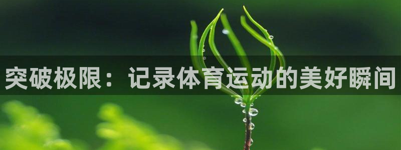 球速体育：突破极限：记录体育运动的美好瞬间