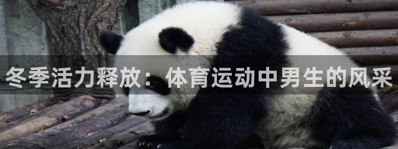 球速体育：冬季活力释放：体育运动中男生的风采