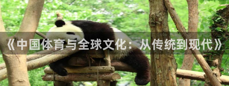 球速体育：《中国体育与全球文化：从传统到现代》