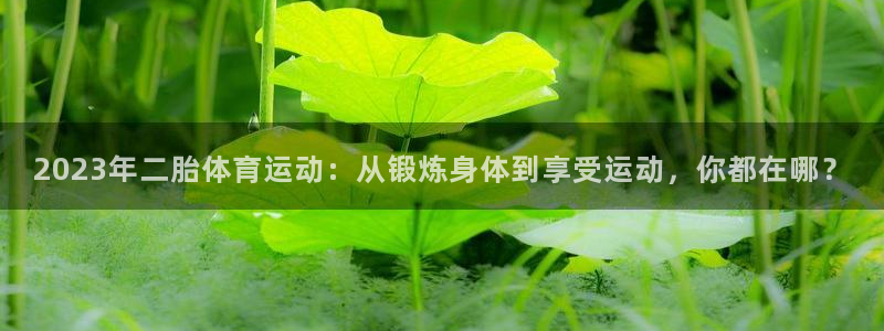 球速体育：2023年二胎体育运动：从锻炼身体到享受运动，你都在哪？